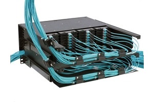Fully Loaded Patch Panels-rougil